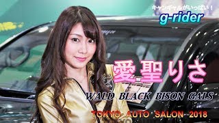 愛聖りさ　WALD Black Bison Gals　TAS2018