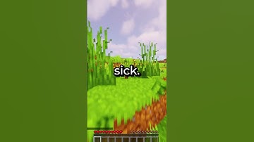 They Added RAGDOLLS To The Physics Mod