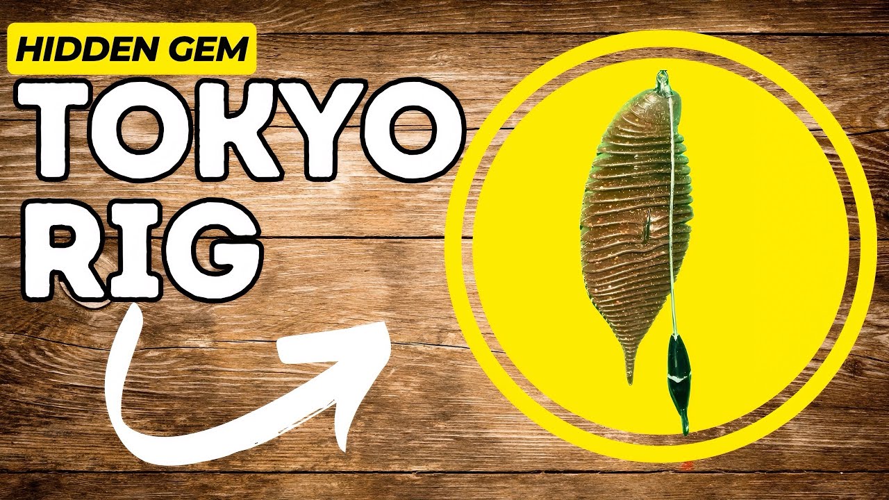 Tokyo Rig Masterclass! Most Underrated Bait in Bass Fishing!