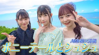 AKB 48 ポニーテールとシュシュ　ポスター　B2 非売品 ポニーテールとシュシュ - メルカリ