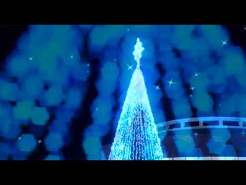 ფოთში  ქალაქის მთავარი ნაძვის ხე საზეიმოდ აინთო