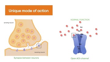 Qalcova  & Jemvelva active  - Un mod unic de actiune