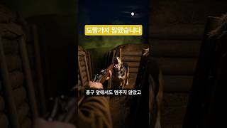 사살 명령이 내려졌습니다. 그래도 자리를 지켰습니다. #ai영상 #동물영웅 #감동 #눈물주의 #미스터리