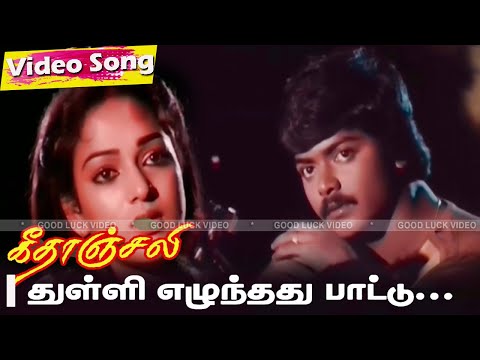 Thulli ezhunthathu pattu HD | Super Hit Love Sad Songs | Illayaraja Sad Songs | Murali Nalini Songs