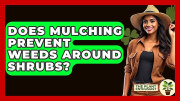 Does Mulching Prevent Weeds Around Shrubs? - The Plant Enthusiast