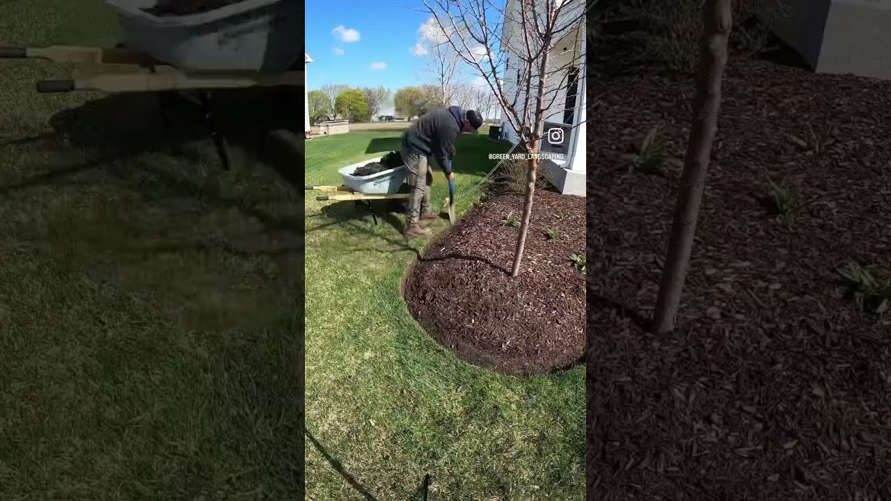 Edging And Mulch Installation 