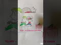 ONE PIECE 🏴☠️#anime #shorts #youtubeshorts