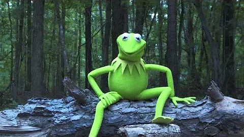 Kermit the Frog Takes the ALS Ice Bucket Challenge | The Muppets