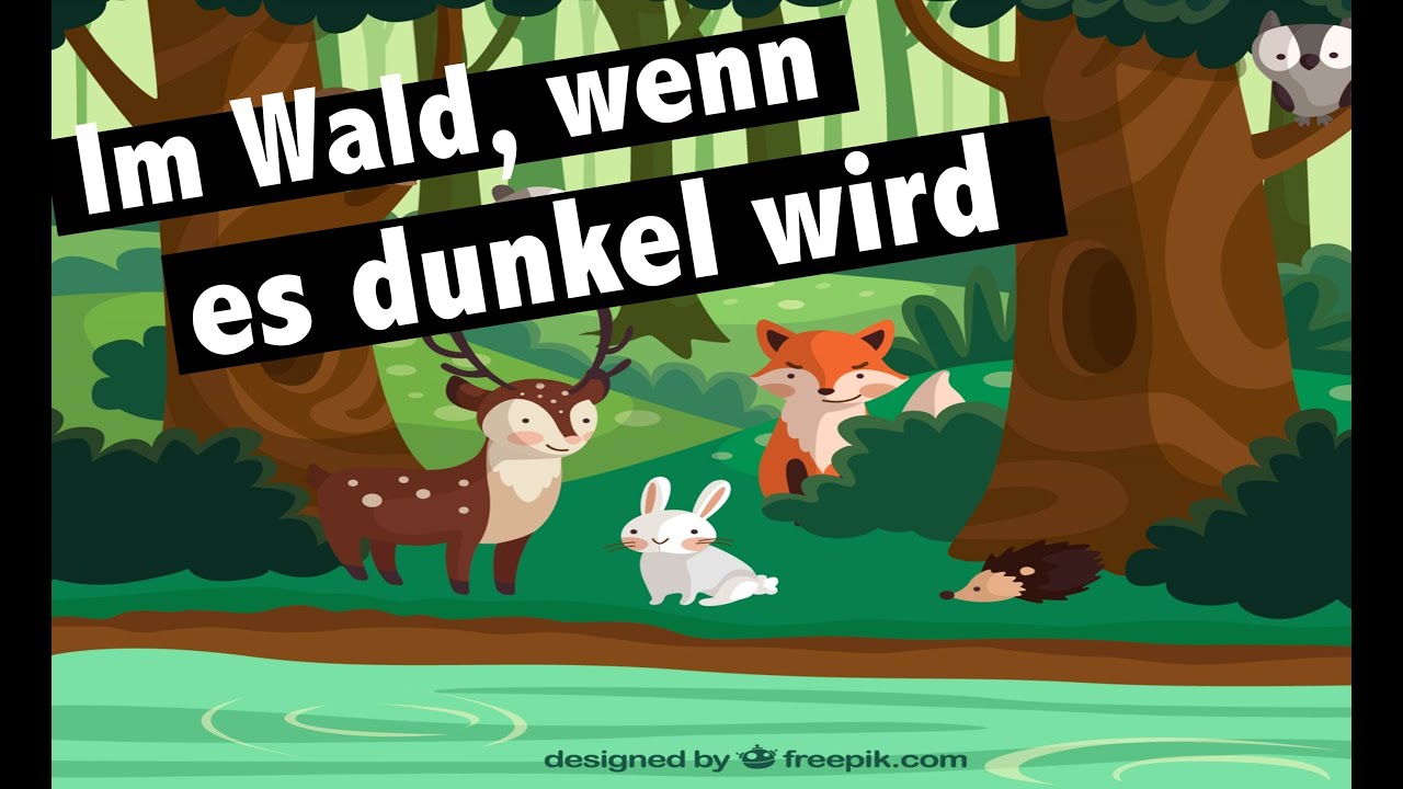 Halt Das Ist Unser Wald Lied Wald Lied: IM WALD, WENN ES DUNKEL WIRD - live version - Kinderlieder