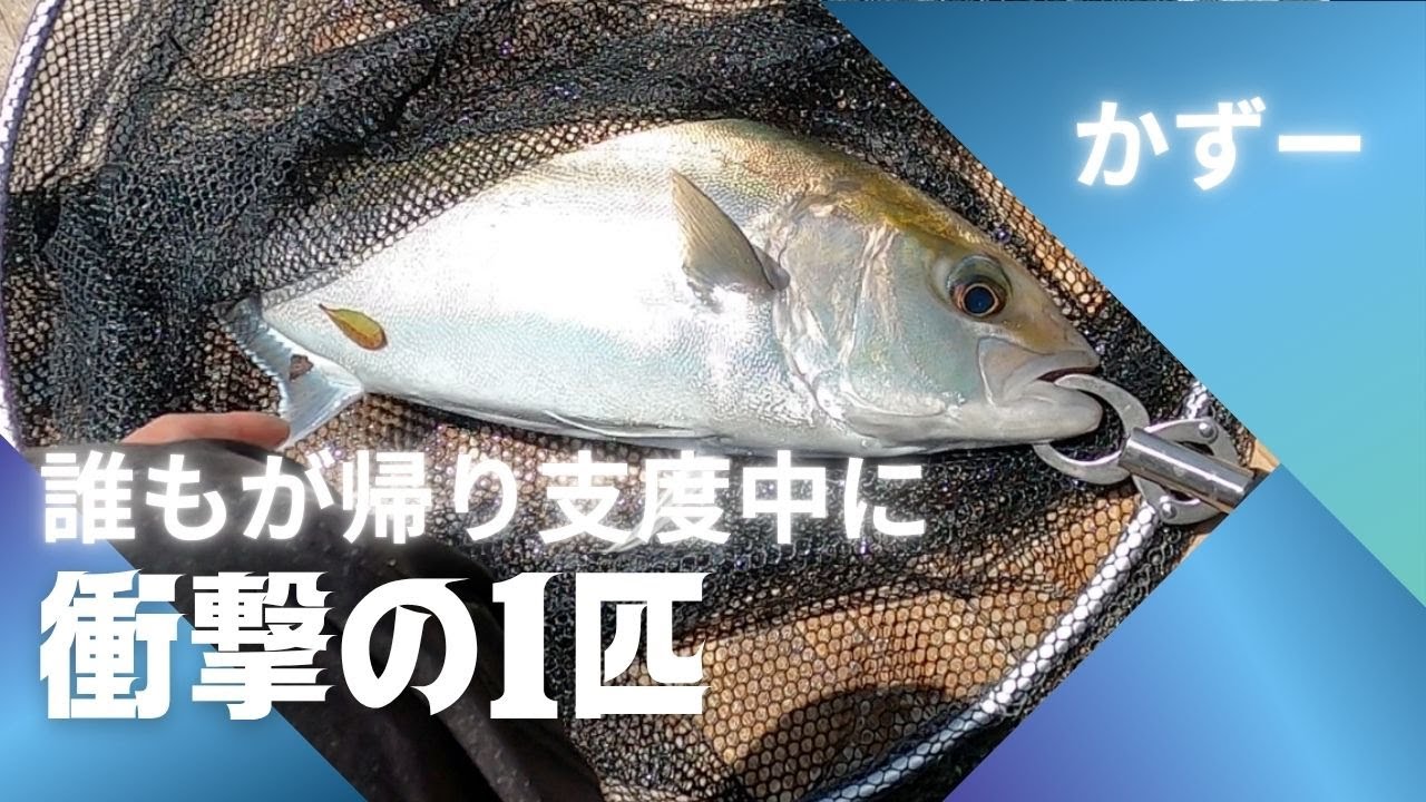 【海上釣堀】 誰もが帰り支度中に…衝撃の一匹！⁈ 辨屋 釣り堀 伊勢志摩つりとも研究所 イセケン iseken