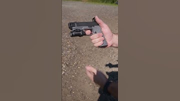 Wilson Combat P365 Frame