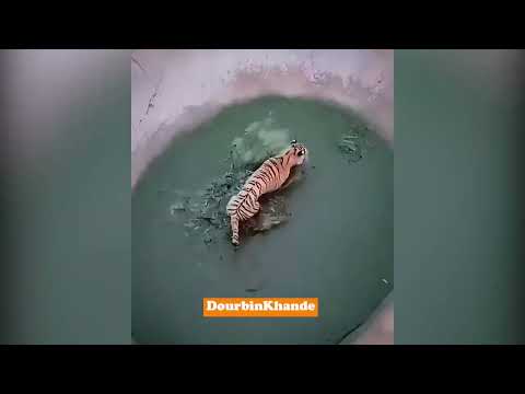 راز بگای جدید قسمت پنجم جدید هشدار حاوی سخنان سخیف