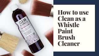 Clean as a Whistle Brush Cleaner