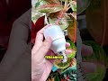 ruangan lebih hidup dengan lampu kapsul #lampuled #hematlistrik #lamputerang