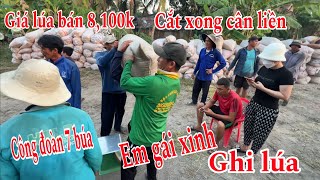 Lúa đài thơm cọc trước bán 8,100 đồng mới cắt xong vào cân liền tay by THÁI TRÍ KHANG 1,427 views 3 months ago 26 minutes