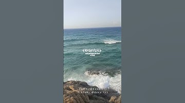 و عسى أن تكرهوا شيئا و هو خير لكم ❤️ #القران_الكريم #سورة_البقرة #القرآن #القرآن_الكريم #القران