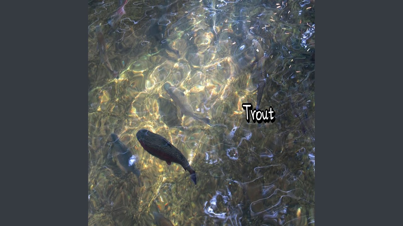 Watch Trout on YouTube Watch Trout on YouTube