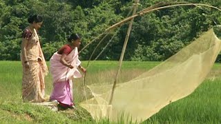 মণিপুরীদের জীবন - কমলগঞ্জ || Panorama Documentary