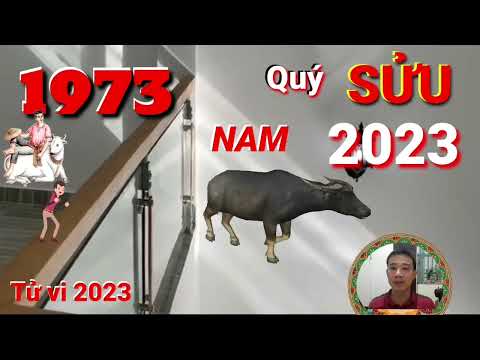 Video TỬ VI 2023: Tử Vi Tuổi Quý Sửu 1973 Nam Mạng năm 2023,... - youtube
