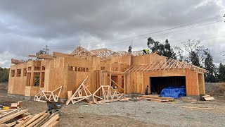 Week 8 of Main House Framing