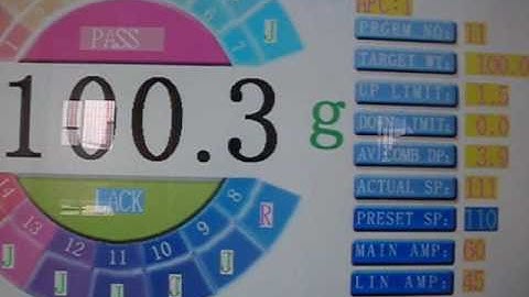 100g candy weighing video with 14 head weigher from Wilpac