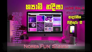 ශ්‍යාමි නදීෂා පිළිතුරු ගී - shami nadisha pilithuru gee