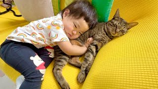 2歳児にお願いされると断れない猫がこちらです...。