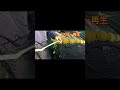 第128福一丸 網合わせ #short