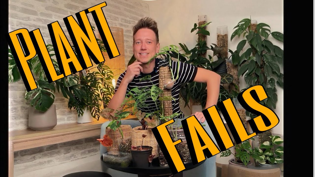 My Plant Fails 🪴☠️ Houseplants disaster