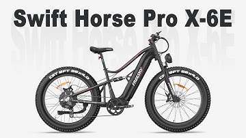 Swift Horse X-6E | Instructions of Assembly