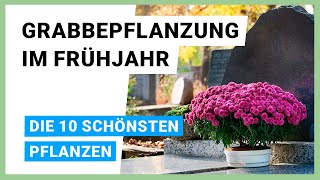 Grabbepflanzung im Frühjahr: Die 10 schönsten Pflanzen