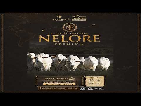 LOTE 1000   MNS 13777