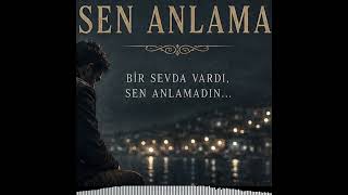 HERKES ANLADI DA SEN ANLAMADIN  /  MAHİR BAŞPINAR