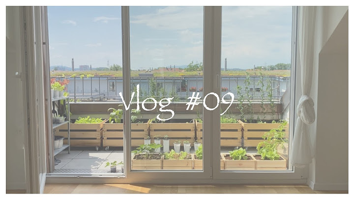 Vlog #09｜打造阳台小菜园｜瑞士生活 - 天天要闻