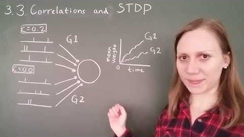Computational Modeling of Neuronal Plasticity: 3.3