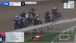 Gulfstream Park December 14, 2025 Race 9