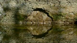 Circle Stone Reflection in Water | FREE NATURE STOCK FOOTAGE