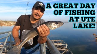 Exploring Ute Lake New Mexico State Park by muddyrivercatfishing 7,431 views 1 year ago 35 minutes