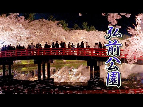 【Cherry blossoms】Hirosaki Park  (Hirosaki Castle) 2021. 日本三大桜の名所  弘前城  #4K​​​ #弘前公園​​ #桜​
