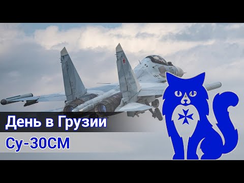 Видео: Су-30СМ "Flanker-H" - День в Грузии (DCS World) | WaffenCat