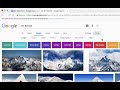 Google Image Search and Embedding Quiz