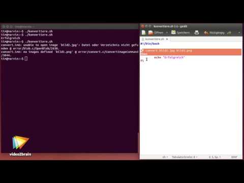 Shell-Programmierung – Grundlagen Tutorial: Befehle prüfen mit if |video2brain.com