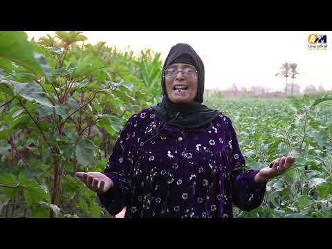 صاحبة أغنية البامية شوكتني في أول ظهور ليها بعربيتها الفاخرة