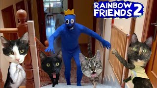 Rainbow Friends 2 en la vida real / Juegos para Blue y los gatos Luna y Estrella Nata y Chocolate