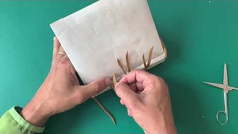 Limp Vellum Binding medieval style books