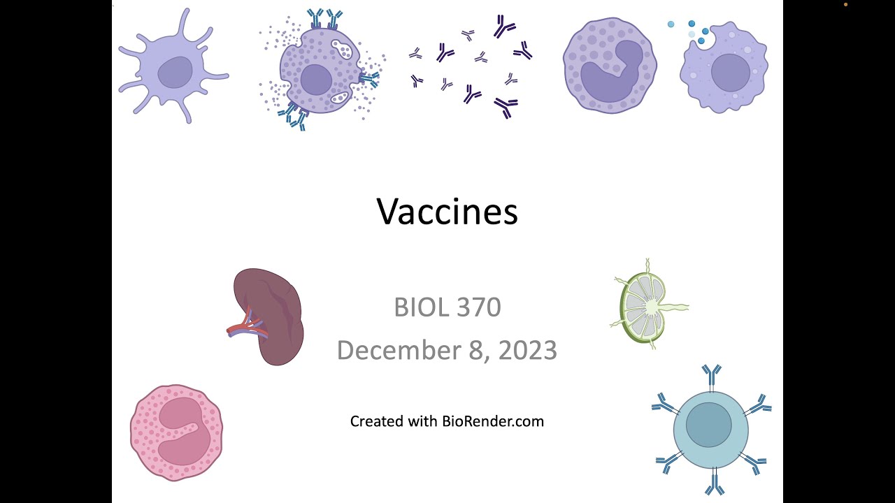 Immunology Fall 2023: Lecture 35 Vaccines - YouTube