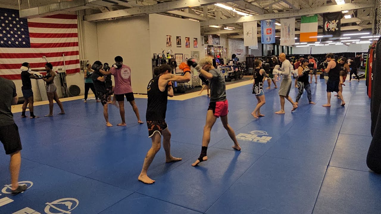 Muay Thai Training LIVE!
