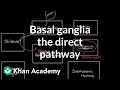 Understanding the Basal Ganglia and Movement Control