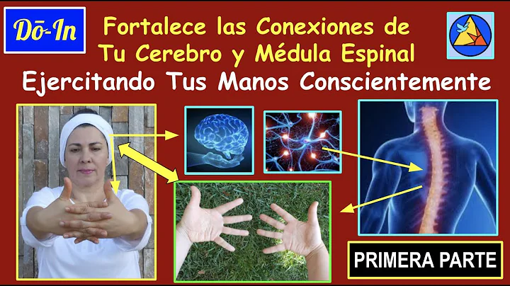 Do-In Fortalece las Conexiones de Tu Cerebro y Mdu...