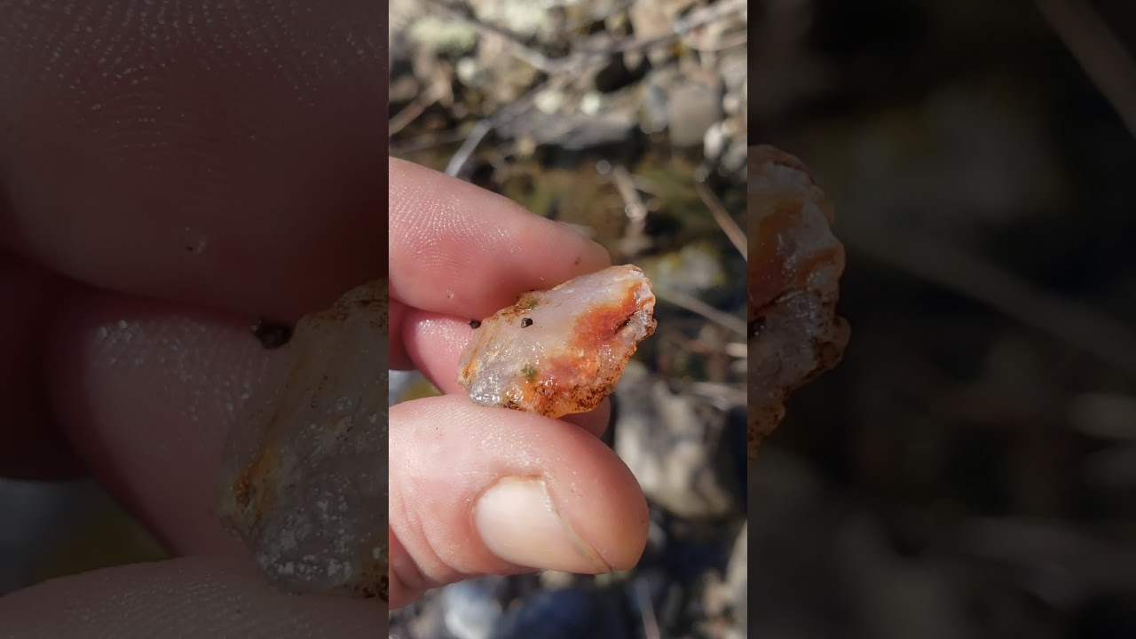 Rockhounding southern Oregon 
